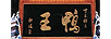 鸭王